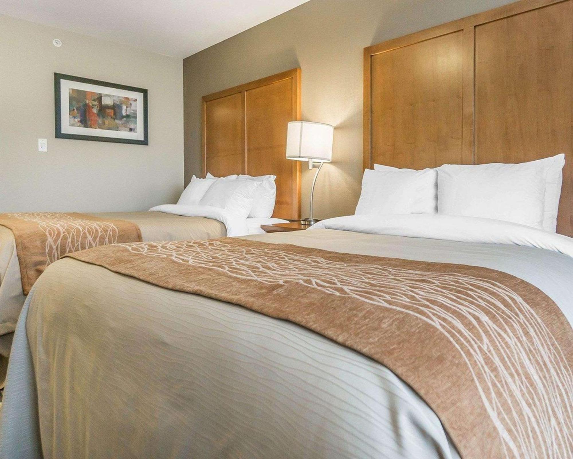 Comfort Inn & Suites Edmonton International Airport Nisku Bagian luar foto